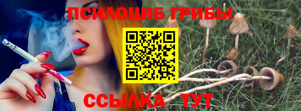 Псилоцибиновые грибы ЛСД  Вход с VPN  Карачаевск 